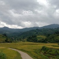 Chính Chủ Cần Bán Homestay Đang Thi Công Có View Mây, Có Thể Vận Hành Sớm Khách Quanh Năm