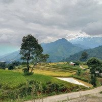 Chính Chủ Cần Bán Homestay Đang Thi Công Có View Mây, Có Thể Vận Hành Sớm Khách Quanh Năm