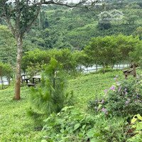 Ngộp Bank Cần Bán Farmstay