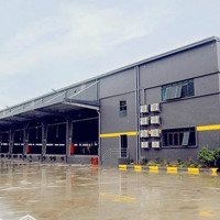 Cho Thuê Kho Xưởng Chuẩn Logistics Tại Hạp Lĩnh, Bắc Ninh. Diện Tích: 4500M2 - 90000M2