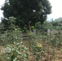 Bán 970M2 Đất Thổ Cư Nhà Vườn Tại Vân Hoà, Ba Vì Giá Rẻ. Liên Hệ: 0988168636