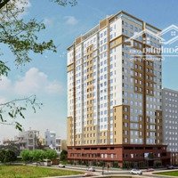 Căn Hộ Thuận Việt, 319 Lý Thường Kiệt, P.15, Q.11, 77M2, 10. 5 Triệu