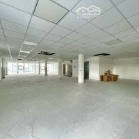 Nguyên Tòa Khu K300,Diện Tích8X30M Trệt Hầm 7 Lầu, Có Sẵn Pccc, Thang Máy.