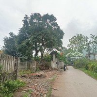 Cần Bán Gấp 578M2 Đất Thổ Cư Tại Hợp Hoà, Lương Sơn, Hoà Bình Giá Cực Hợp Lý