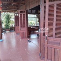 Nhà Gỗ Sân Vườn Nghỉ Dưỡng 1.500M2