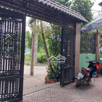 Cho Thuê Nhà Làm Chdvmặt Tiềnkdc Gia Hoà, Xã Phong Phú, Huyện Bình Chánh.