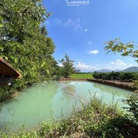 Nhà Vườn Sẵn Ao Hồ, View Cánh Đồng Lúa, View Đồi Núi Cực Chill 239 Triệu
