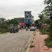 Bán 2 lô đất dịch vụ Định Trung , Vĩnh Yên. DT 100m2