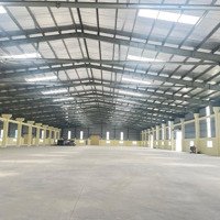 Cho Thuê Kho Xưởng 5000M2 Mới Xây 100% Trong Kcn Tại Bến Lức, Long An