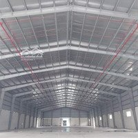 Cho Thuê Kho Xưởngdiện Tíchđa Dạng Từ 620M2, 1000M2 Đến 2000M2 Có Pccc Tự Động Tại Đan Phượng