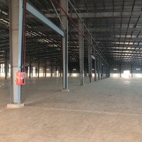 Cho Thuê Xưởng 5100M2-8000M2 Kcn Long Khánh, Đồng Nai