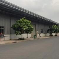 Cho thuê xưởng 2400m2 KCN Nhơn Trạch 3, Hiệp Phước, Nhơn Trạch, Đồng Nai