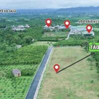 Cắt lỗ đất thổ cư 660tr tại Bảo Lâm - :Lâm Đồng