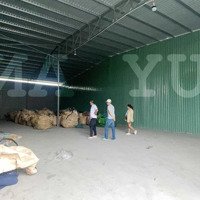 Cho Thuê Kho Kcn Tân Bình- Container Đi Ngày- Giá 100 Ngàn