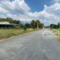 Cần Sang Nhanh Lô Đất 1100M2 Đất Ở Ngay Chợ, Trường Học Trong Thị Xã.