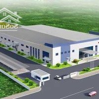 Chính Chủ Cho Thuê Kho Xưởng Tại Kcn Vsip Từ Sơn, Bắc Ninh. Diện Tích: 2000M2, 2500M2, 5000M2 - 100.000M2