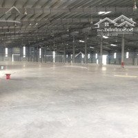 Chính Chủ Cho Thuê Kho Xưởng Tại Kcn Vsip Từ Sơn, Bắc Ninh. Diện Tích: 2000M2, 2500M2, 5000M2 - 100.000M2