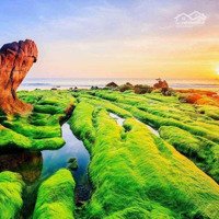 Đất Sổ Đỏ Biển Bình Thuận - Kề Sân Bay Phan Thiết, Kết Nối Khu Du Lịch Resort Biển - Giá Tốt Đầu Tư