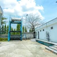 Bán xưởng 12000m2 Xuân Hòa, Xuân Lộc, Đồng Nai