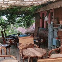 Cho Thuê Mặt Bằng 5000M2 Có Sẵn Nhà Gỗ Homestay,Cafe