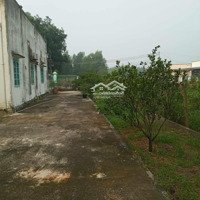 Bán Nhà Vườn 477M2 Giá Bán 3 Tỷ Tại Ấp Quới Thạnh Xã Phước An, Nhơn Trạch, Đồng Nai