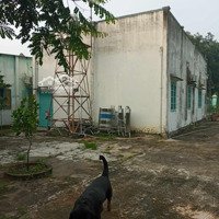 Bán Nhà Vườn 477M2 Giá Bán 3 Tỷ Tại Ấp Quới Thạnh Xã Phước An, Nhơn Trạch, Đồng Nai