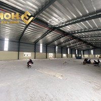 X137. Cho Thuê Kho Xưởng Khu Vực An Dương 1000M2 Và 2000M2 Có Pccc Tự