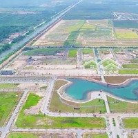 Sỉ 10 Nền Đất Daresco (Có Bán Lẻ), Giá Tốt