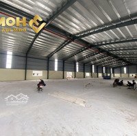 X137. Cho Thuê Kho Xưởng Khu Vực An Dương 1000M2 Và 2000M2 Có Pccc Tự Động