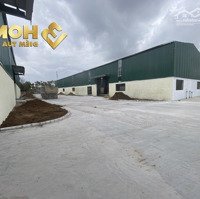 X137. Cho Thuê Kho Xưởng Khu Vực An Dương 1000M2 Và 2000M2 Có Pccc Tự Động