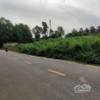 Bán Đất Quy Hoạch Skc Tại Tam Phước Tp Biên Hòa Đồng Nai (12.000M2)