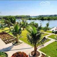 Cho Thuê Biệt Thự View Sông Cực Chill Tại Bến Cát