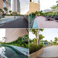 Tôi Cần Cho Thuê Căn Hộ 50M2 Diamond Lotus Reverside Quận 8