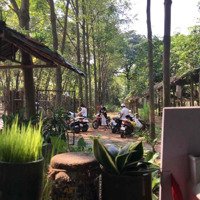 Phòng Trọ Trong Quán Cafe Sân Vườn 8-Farmcafe