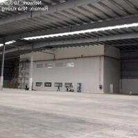 Cho thuê xưởng 2700m2-28000m2 KCN Nhơn Trạch 2, TT Hiệp Phước, Huyện Nhơn Trạch, Đồng Nai