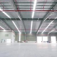  CHO THUÊ KHO 5000M2 SƠN TỊNH – QUẢNG NGÃI