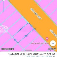 Bán Căn Homestay Đi Bộ Ra Biển Phước Hải - Tái Định Cư Bên Chợ 8X20M