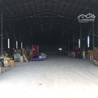 Cho Thuê Nhà Xưởng 2.000M2 Hòa Long, Bà Rịa Nhà Xưởng Còn Mới Rộng Đep