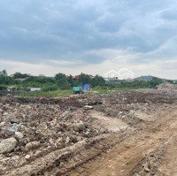 Bán Lô Đất Sản Xuất Rộng 6,5Ha Khu Vực Trường Sơn, An Lão, Thời Hạn Đến 2059, Đã Đóng Thuế Đến 2033