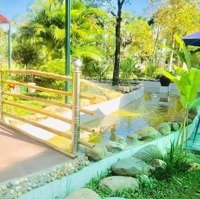 Tôi Cần Bán Đất Tổngdiện Tích18Ha Đang Làm Khu Du Lịch Nghỉ Dưỡng Tại Thái Nguyên Giá Cực Thiện Chí