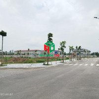 Đấu Giá Đất Xã Thụy Lâm Huyện Đông Anh, Hà Nội Giá Rẻ Nhất 2024