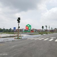 Đấu Giá Đất Xã Thụy Lâm Huyện Đông Anh, Hà Nội Giá Rẻ Nhất 2024