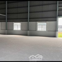 Cho Thuê Nhà Xưởng Mới 2.800M2, Phù Hợp Làm Kho Bãi, Tại Phường Phước Tân, Biên Hòa