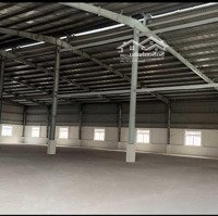 Cho Thuê Nhà Xưởng Mới 2.800M2, Phù Hợp Làm Kho Bãi, Tại Phường Phước Tân, Biên Hòa