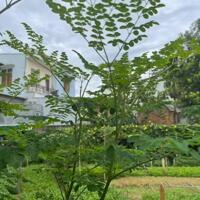 Cần bán lô đất rẻ ,đẹp Vĩnh Thạnh,Nha Trang