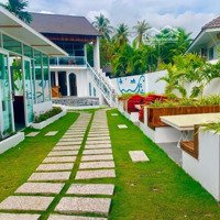 Mặt Tiền Nguyễn Đình Chiểu Trung Tâm Khu Phố 1 Đối Diện Resort Giá Tốt Đầu Tư