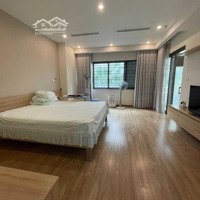 Hiếm! Bt Liền Kề Xuân Thủy 72.7M2 Xây Full Có Thang Máy Giá Bán 30 Tỷ Có Tl