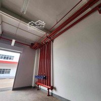 Cho Thuê Kho Mới 100%.Diện Tíchtừ 1300-21.000M2 Tiêu Chuẩn Châu Âu