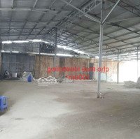 Kho Xưởng (1000M²)Mặt Tiềnmai Bá Hương, Bình Chánh