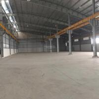 Cho thuê kho xưởng ở KCN Phú An Thạnh, Bến Lức, Long An